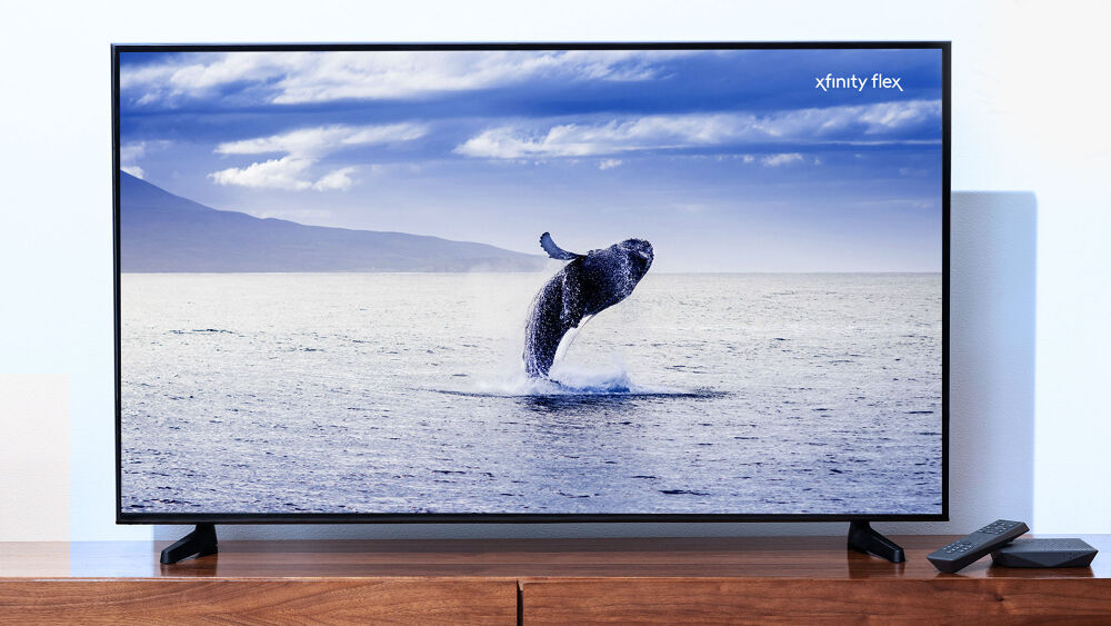 Xfinity Flex