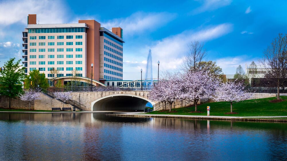 Investing in America