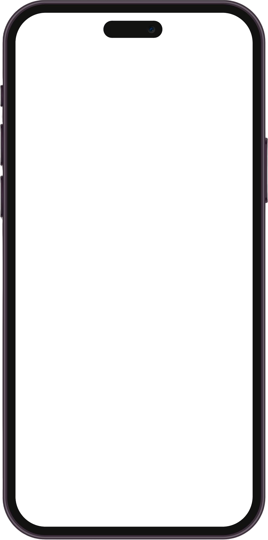 iPhone frame